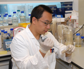 研究團隊透過最先進的基因工程重組技術,以及運用合成生物學的概念,成功研發「YB1」厭氧細菌,並取得美國專利。